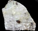 Tabular Brookite Crystals with Quartz - Pakistan #38653-2
